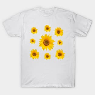 Sunflowers Bloom -  Hello Summer - Yellow Flowers T-Shirt